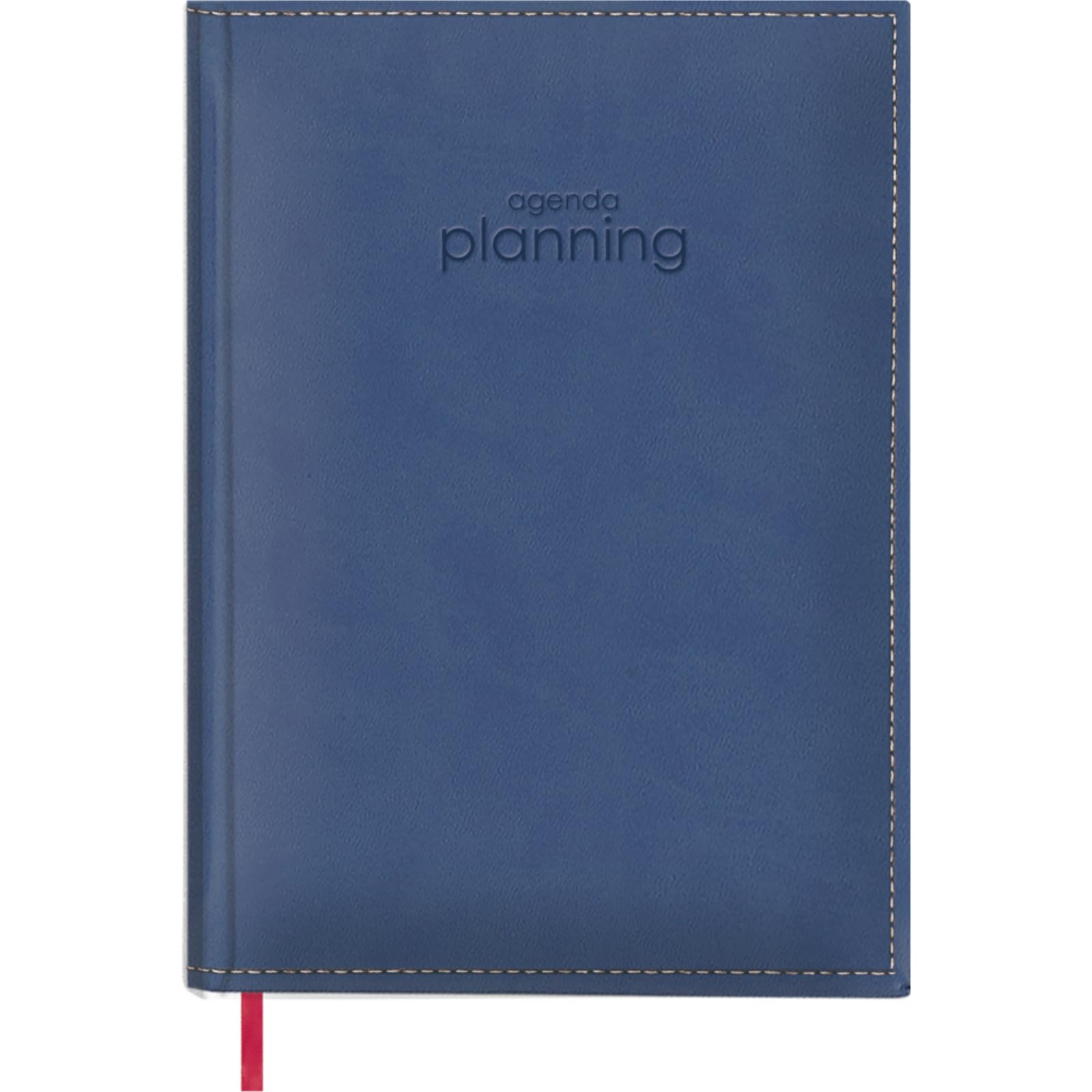 Annual Planning 2022 Planner - Weekly Organizer - Perpetual Planner - A4 Size 21 x 29.7 cm - Blue - Portable Monthly Planner - Dohe
