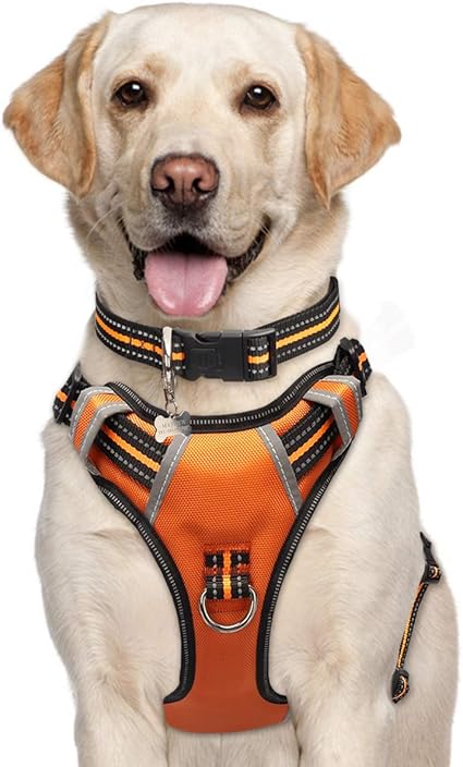 safespot locking leash