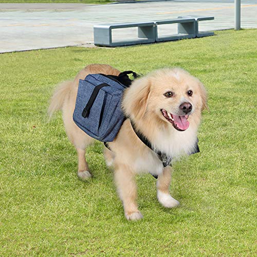 wellver dog backpack