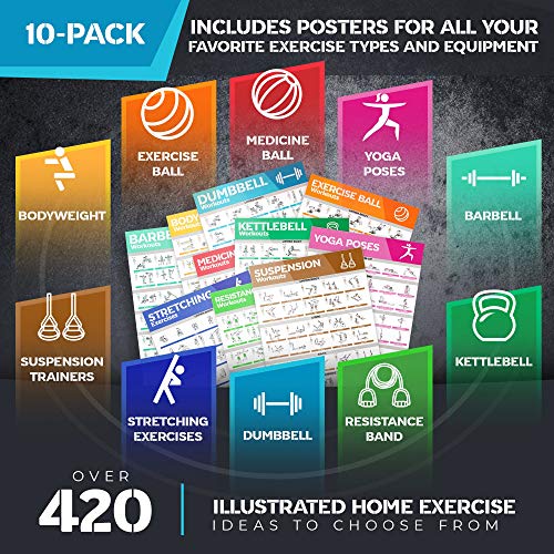 10-Pack Laminated Large Workout Poster Set - Perfect Workout Posters ...