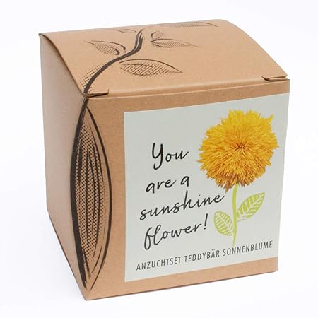 Geschenk-Anzuchtset'Sunshine Flower' - Teddybär Sonnenblume