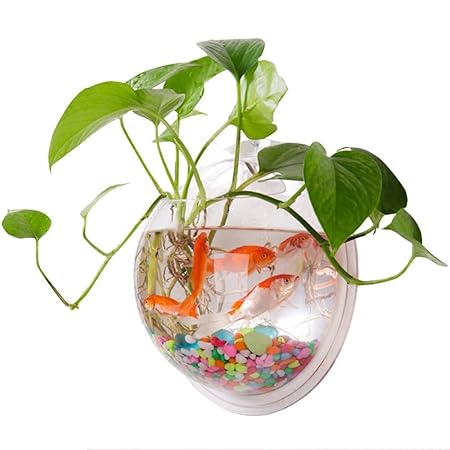 Yooyoo Creative Acrylic Hanging Wall Mount Fish Tank Bowl Vase
