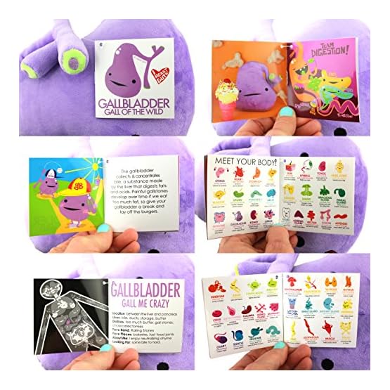 happy gallbladder plush