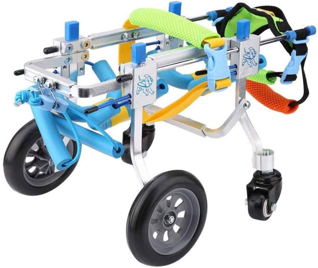 10 Mejores Silla De Ruedas Para Peces | (2021)