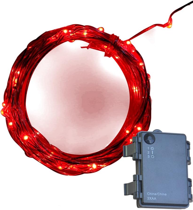 Pansdore Christmas Light 30 LED Fairy String Lights for Indoor Outdoor, Copper Wire, Red