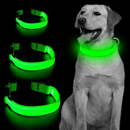 Dog night collar Outlet