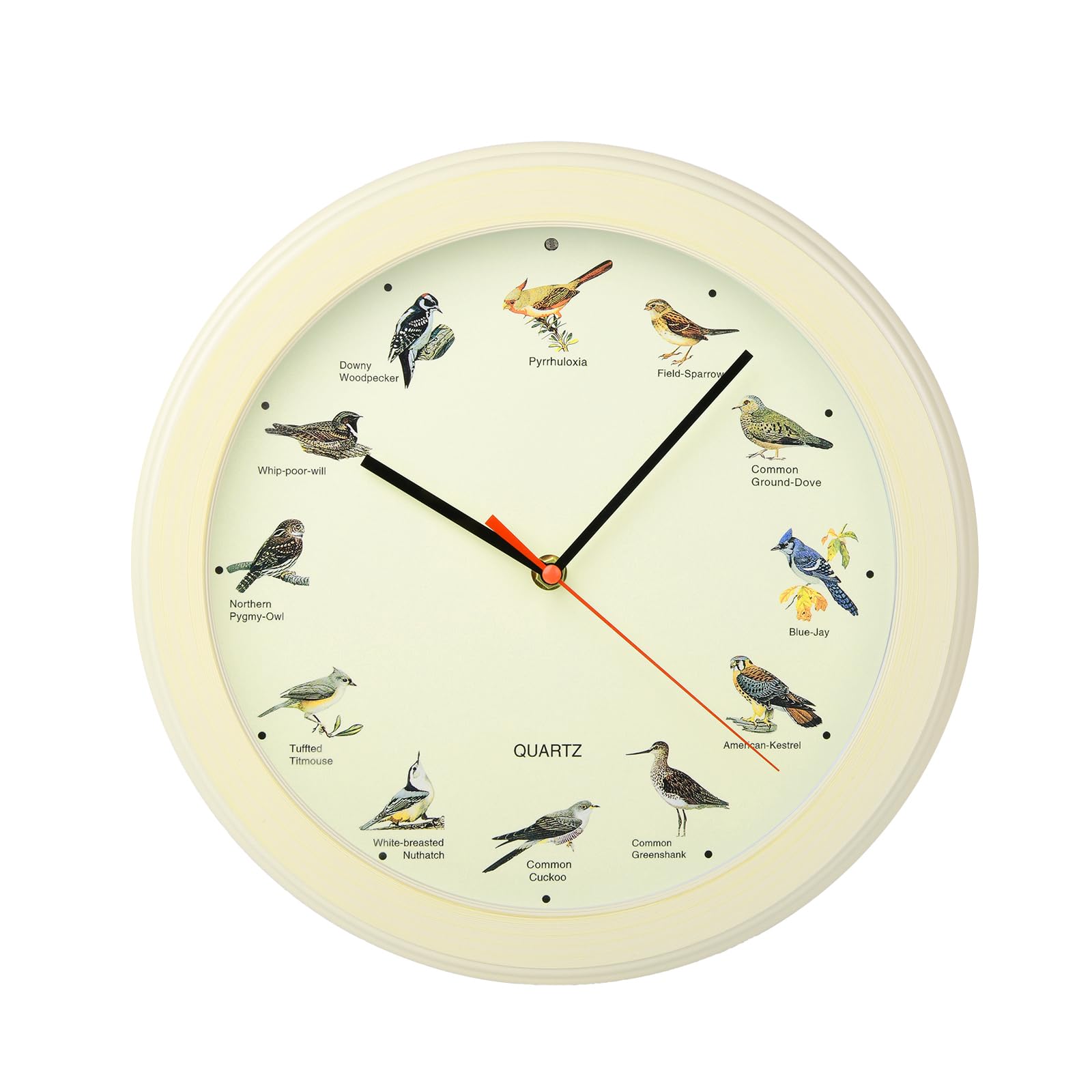 Photo 1 of Belinlen 13 Inch Singing Bird Wall Clock Light Sensor Bird Clock That Sings on Hour (White Wood Grain)