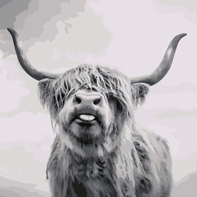 ZLLM Kids Paint By Numbers Highland CowA,Painting Paintworks With