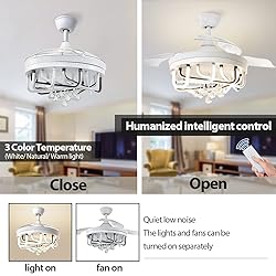 DLLT 40W Ceiling Fan with LED Lights, 42 Inch
