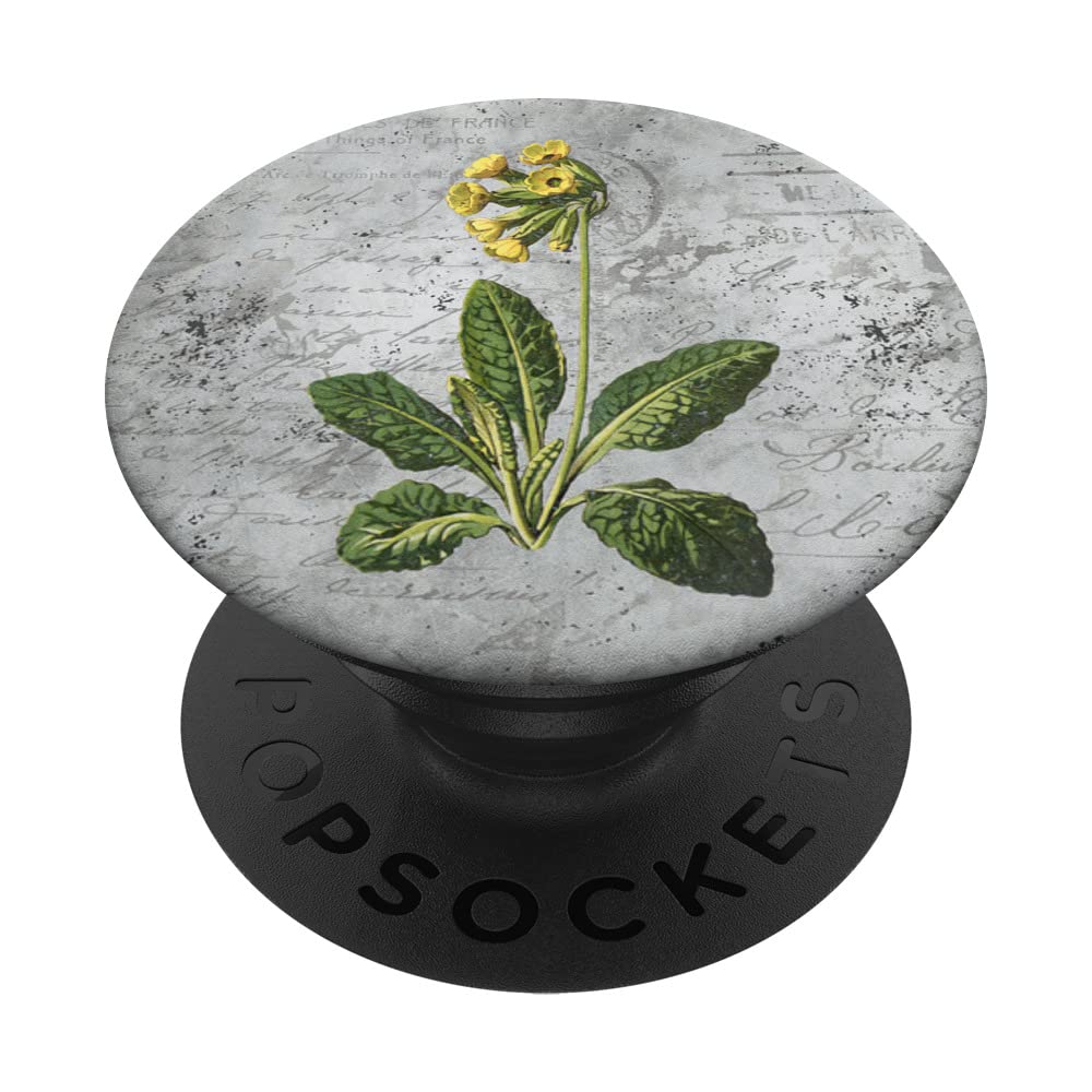 Vintage Cottagecore Daffodil Flower Aesthetic Floral PopSockets Swappable PopGrip