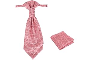 Epoint Cravat Necktie For Party Silk Pretied Ascot Cravat Tie 12 Inch Clip-On Adjustable