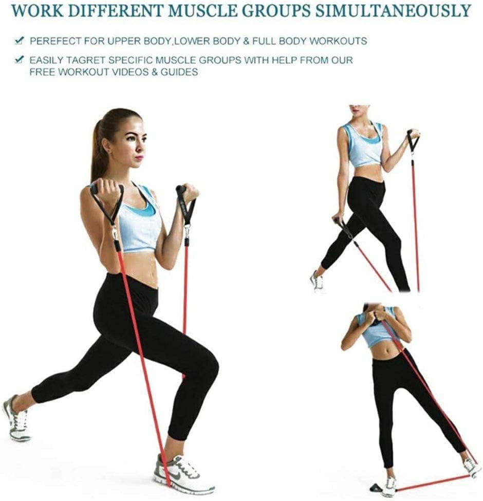 REDESS 11 Pack Exercise Resistance Bands with Handles Exercise Stretch Fitness Home Set Include 5 Stackable Exercise Bands with Carry Bag, Handles, Legs Ankle Straps & Door Anchor : Sports & Outdoors