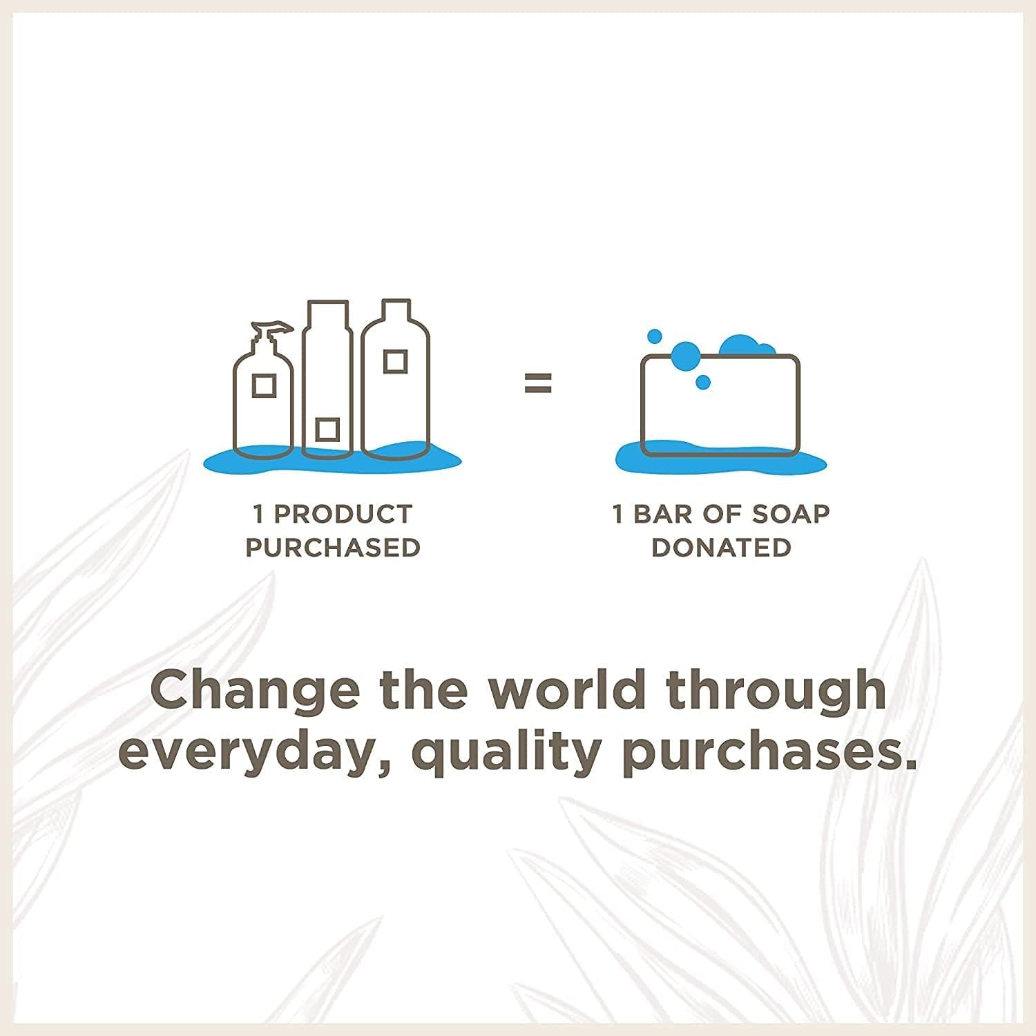 Soapbox Hand Soap Variety Pack (Coconut, Lavender, Meyer Lemon) Liquid Hand Soap, Moisturizing Wash with Shea Butter & Aloe Vera, Pack of 3 Bottles with Pump Dispenser, 12oz Each