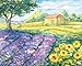 Ravensburger Aquarelle Provence Arts and Crafts Kit