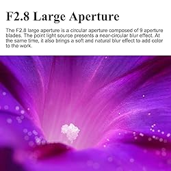7artisans 60mm F2.8 Macro 2X Lens for Canon RF