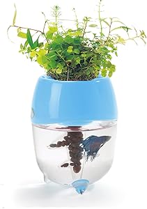 Dr. Moss Aquaponic Aquarium for Betta Fish Tank Water Garden Planter Natural Ecosystem