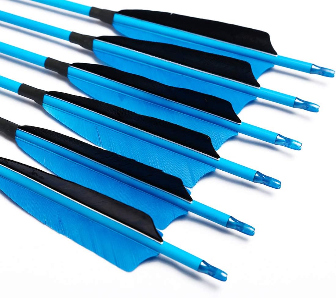 Linkboy Archery Carbon Arrows Hunting Practice Target Arrows Fluorescent with Removable Tip for Compound Recurve Long Bows, Spine 300 340 400 500 600, Pack of 6/12PCS : Sports & Outdoors