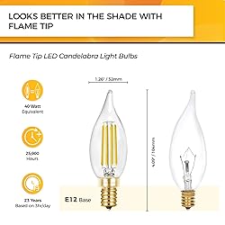 Hizashi Candelabra LED Light Bulbs, E12 LED Bulb