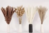 ANPROOR Dried Pampas Grass Decoration 100 Pcs Bunny Tail Dried Flowers view 2