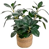 Arbolanta Artificial Fake Plant Potted 12.8'' Small Faux Greenery Ficus Style in Jute-Wrapped Yellow Planter for Tabletop Home Office Decor