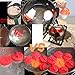 Prevent rollover egg cooker holder and Egg Cooker 6pack, Boiled Eggs No shell，hard&Soft Maker, BPA Free，Non Stick Silicone，the holder compatible with most of the same type of products,by ZFITEI.