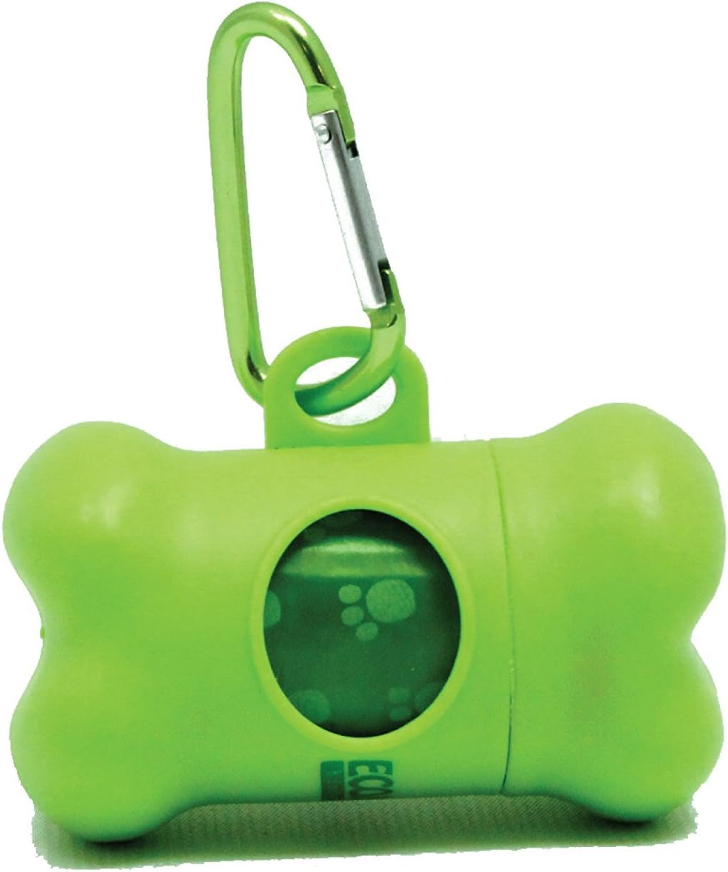 reptiles near me for sale