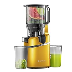 AMZCHEF Juicer Machines - Cold Press Slow Juicer