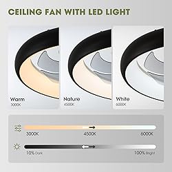 LUDOMIDE Boho Ceiling Fans with Lights, 20" Flush