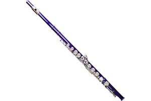 Deloitte C Flute Closed Hole 16 Keys Nickel Plated, DFL-301, for Beginner Student Flute Instrument with Cleaning Kit, Carrying Case, Gloves, Tuning Rod (Purple Dream)
