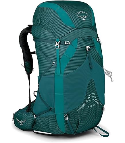 Osprey Ariel Plus 85L Women's Backpacking Backpack, Black, WXS/S : Sports & Outdoors