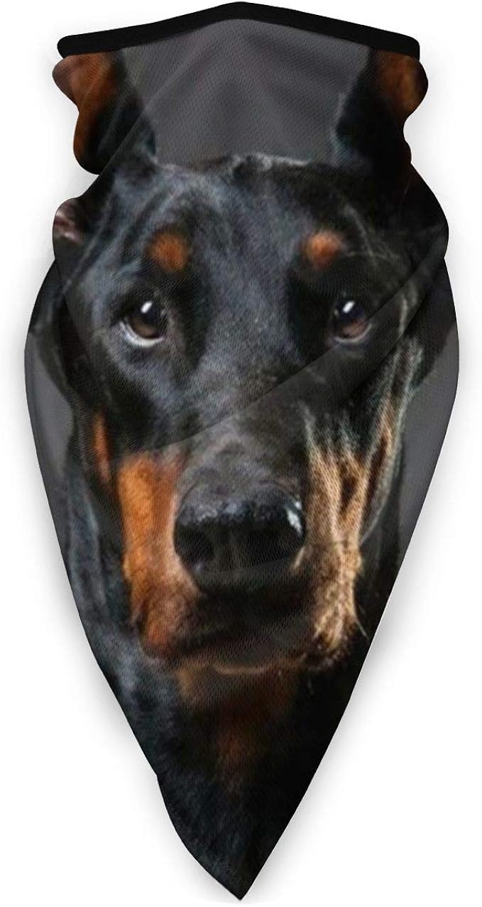 funny doberman