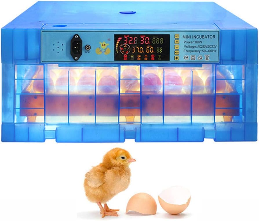 JHKGY Egg Incubator,64320 Egg Digital Automatic Poultry Hatcher Egg