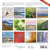 Image de Audubon Nature Wall Calendar 2017