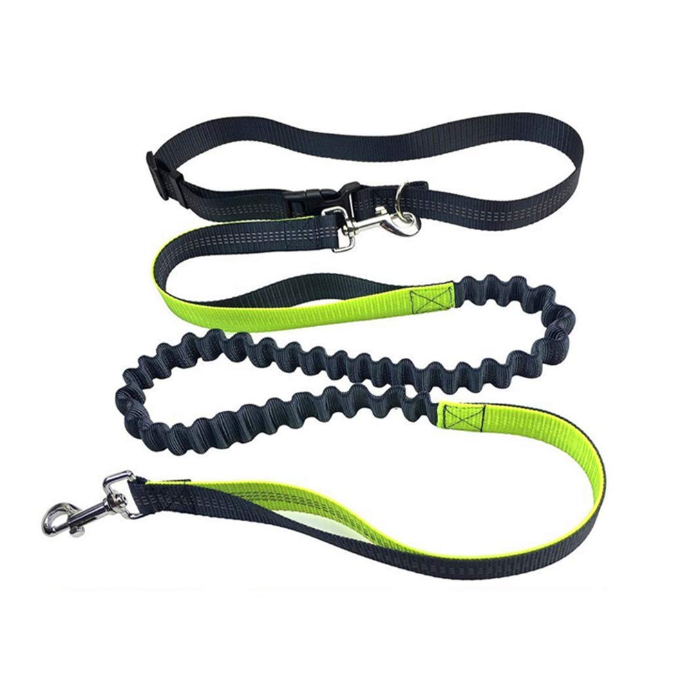 Aiqeer Grey Hands Free Dog Leash with Adjustable Waist Belt and Retractable Bungee, Jogging Leash with Reflective Stitching (Green Handle)