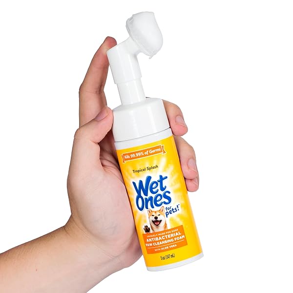 WET ONES FOR PETS ANTIBACTERIAL PAW CLEANER WITH BUILT-IN SCRUBBER BRUSH – FOAMING CLEANSER FOR DOG PAWS – WASHER & GROOMING CARE – CLEANING SUPPLIES – TROPICAL SPLASH SCENT 5 OZ