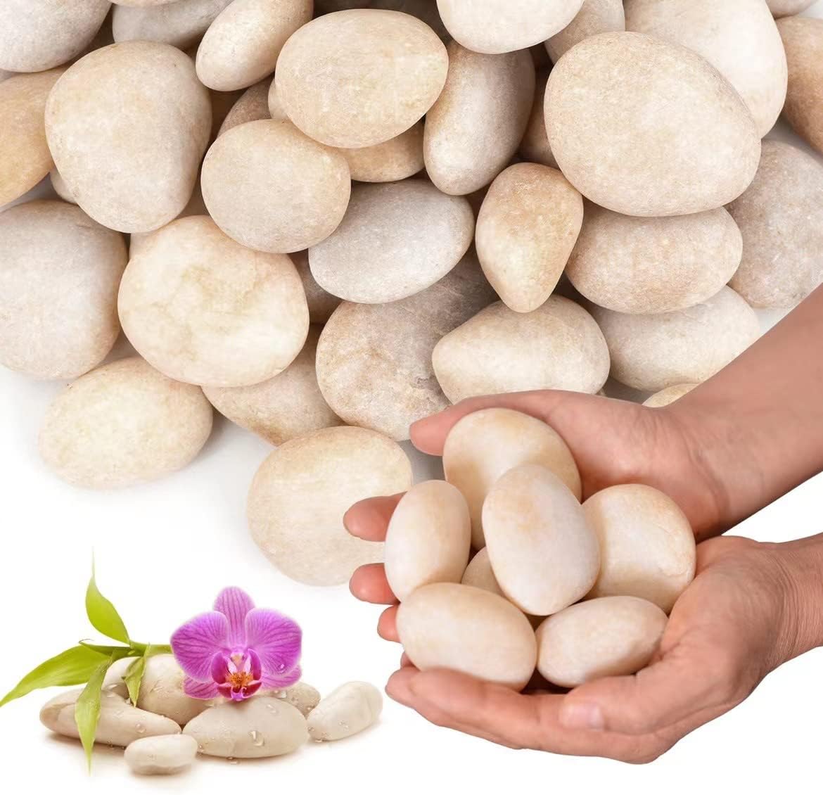 Hardscaping Materials - Lechloris 20lb Cream White River Rocks Outdoor Landscaping- Polished Pebble for Plants – Garden Decorative Stones-1-2