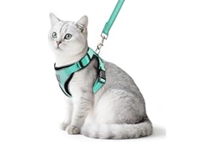 PUPTECK Cat Harness and Leash Set Escape Proof Reflective Cat Walking Harness Adjustable Soft Breathable Mesh Vest for Small Pets, Aquamarine, S