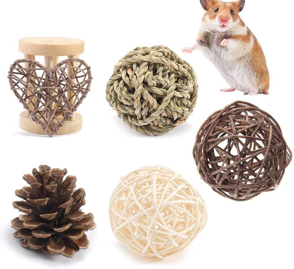 AUOKER 5 Pack Syrian/Dwarf Hamster Chew Toys for Teeth, Natural Wooden Molar Teeth Care Toy Set for Hamster, Ferret, Parrot, Chinchilla, Guinea Pig, Rabbit Chew & Play - Hamster Cage Accessories Toy
