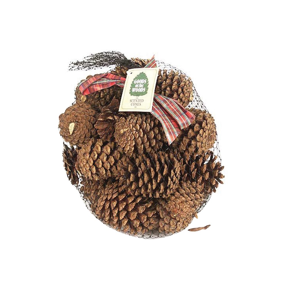 The 10 Best Cinnamon Fragrance For Pine Cones