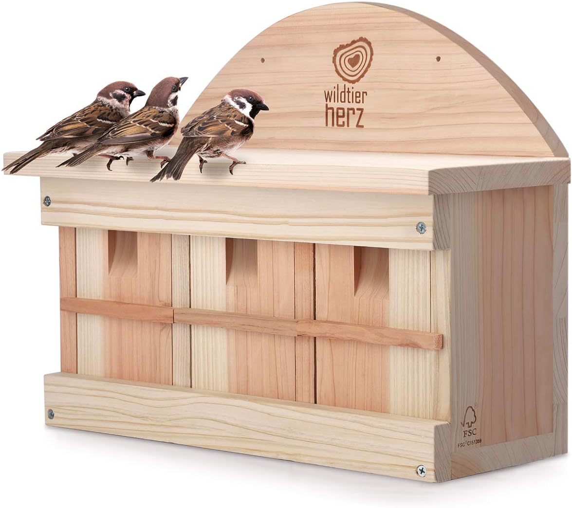 wildtier herz | Nistkasten für Spatzen und Sperlinge I Nistkästen für Vögel aus Massiv-Holz I Spatzenhaus, Sperlingsnistkasten, Vogel Spatzenkolonie