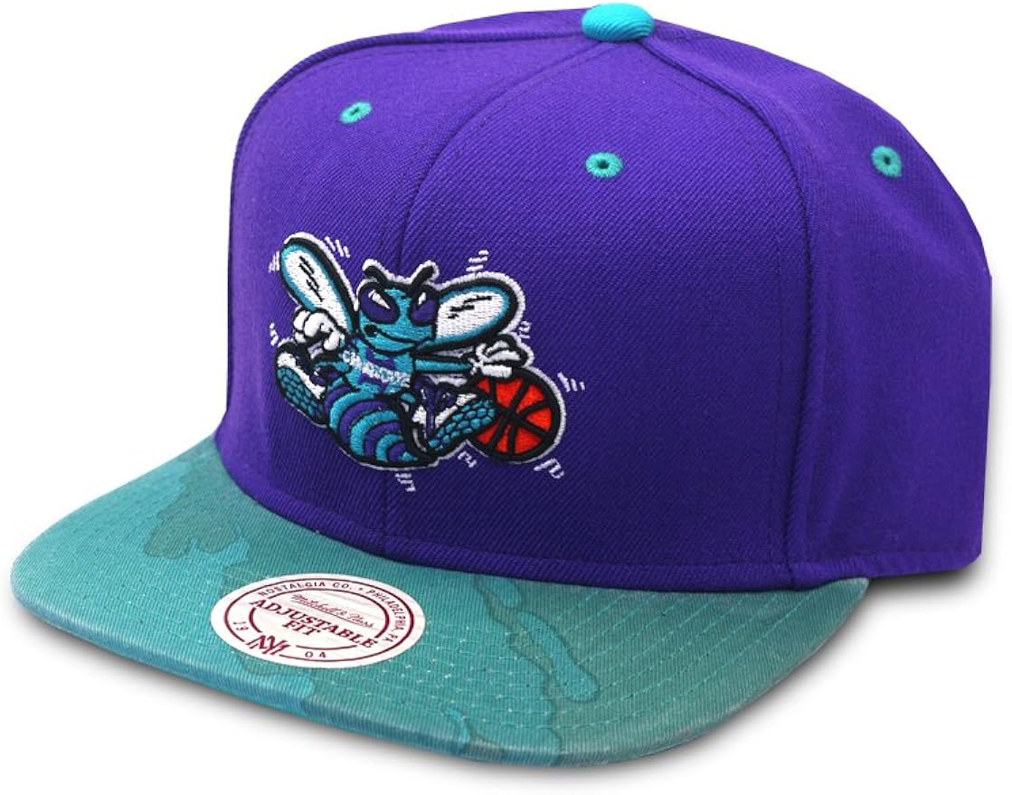 charlotte hornets baseball cap
