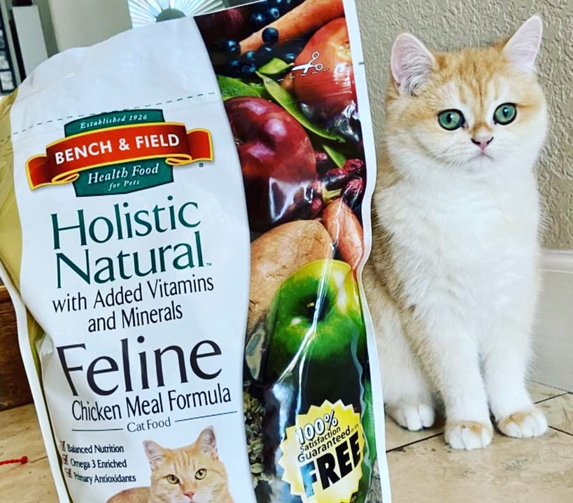 Bench & Field Holistic Natural Premium Adult Dry Cat Food, Chicken Meal