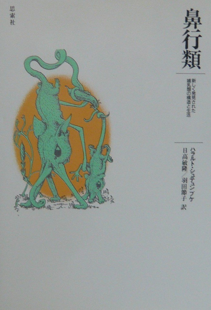 Amazon Fr 鼻行類 新しく発見された哺乳類の構造と生活 Livres