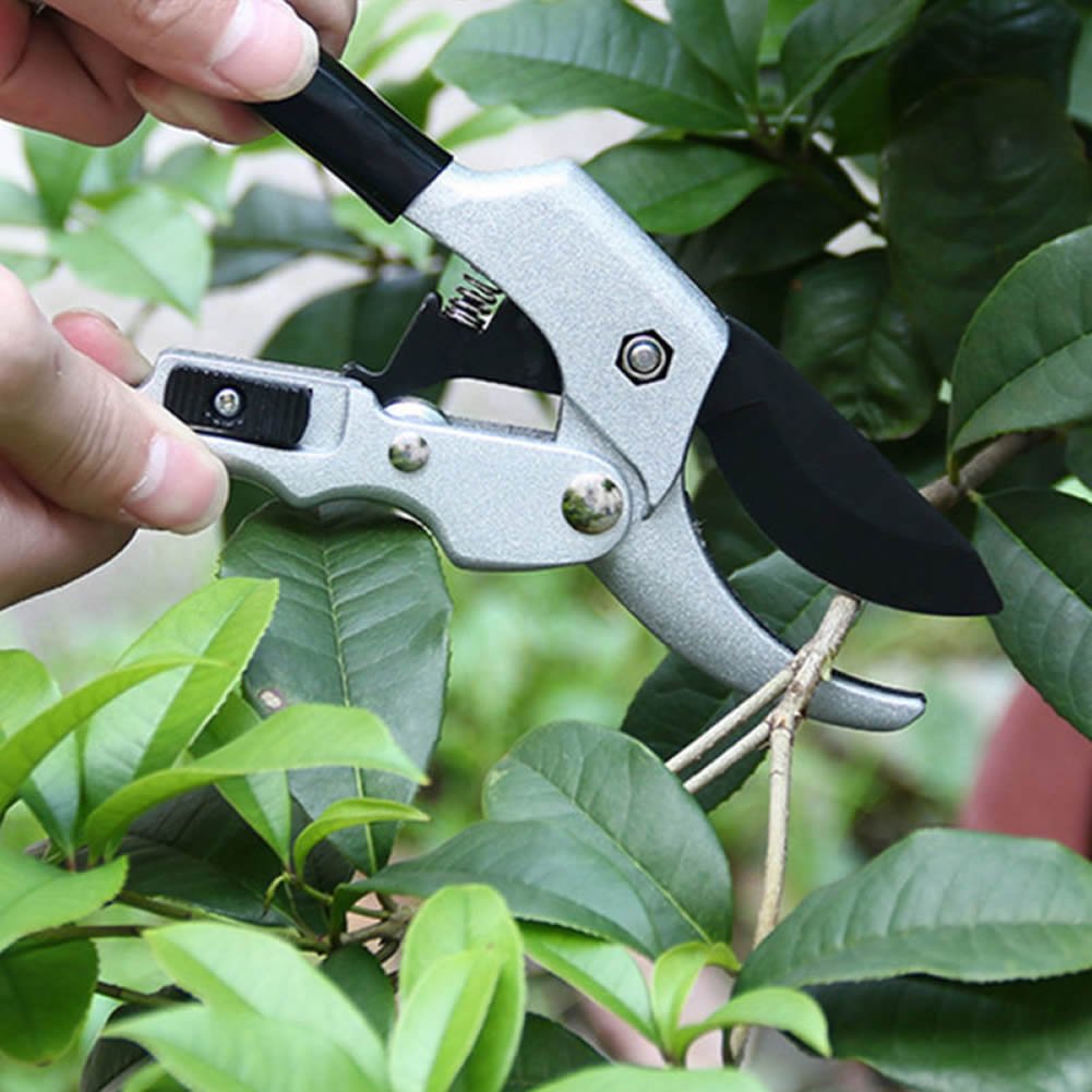 Dolwis Store Pruning Shears Professional SK-5 Steel Blade Sharp Anvil Tree Trimmers Secateurs,Hand Pruners,Garden Shears,Garden Clippers,Rose trimmers,Less effort