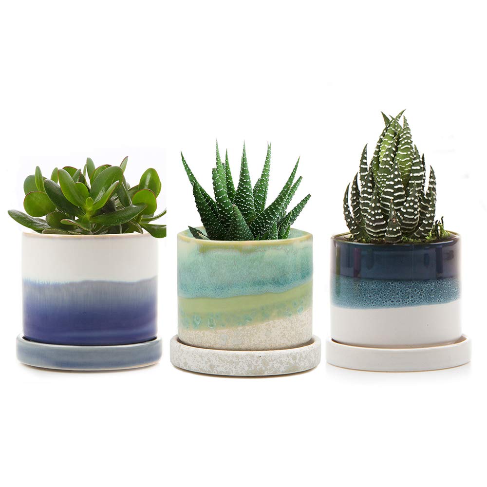 Chive Minute Plant Pot Beautiful Indoor Outdoor Plant Pots For Flowers House Plants Cute Decorative Ceramic Plant Pot Small 3 X3 Green Blue Green Buy Online In China At China Desertcart Com