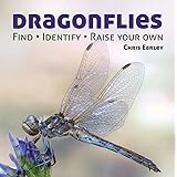 Dragonflies: Catching - Identifying - How and Where They Live