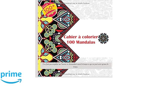Cahier à Colorier 100 Mandalas Il Ne Faut Pas Empiéter Sur