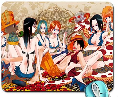 One Piece Tony Tony Chopper Monkeyluffy Nefertari Vivi Nami One