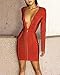 Whoinshop Women's Sexy Deep V Front Long Sleeve Bandage Club Party Bodycon Mini Dress
