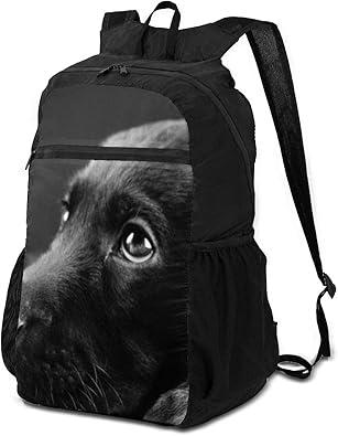 Amazon 折りたたみ リュック アウトドアバックパック 超軽量 ラブラドールレトリバー おしゃれ 大容量 防水 耐久性 収納ナップサック多機能 旅行 便利グッズ 買い物用 通学 通勤 登山 男女兼用 Moopzeea メンズ